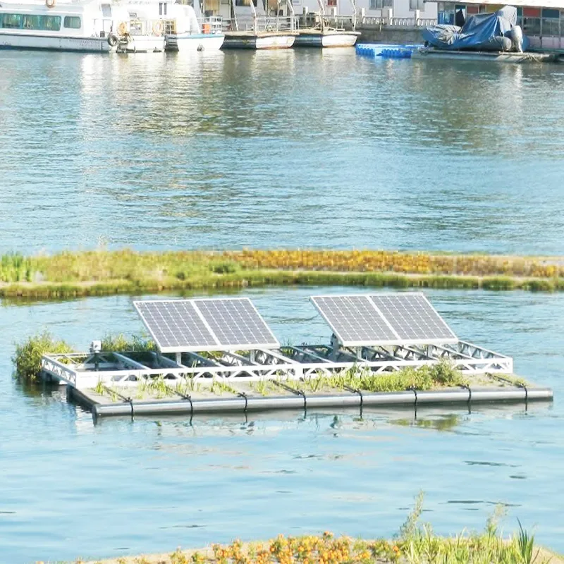 నది నిర్వహణ ప్రాజెక్ట్